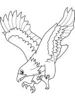 coloriage aigle en train d attraper une proie